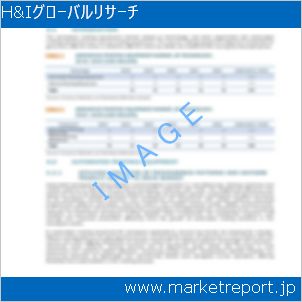 市場と産業調査レポートのイメージ